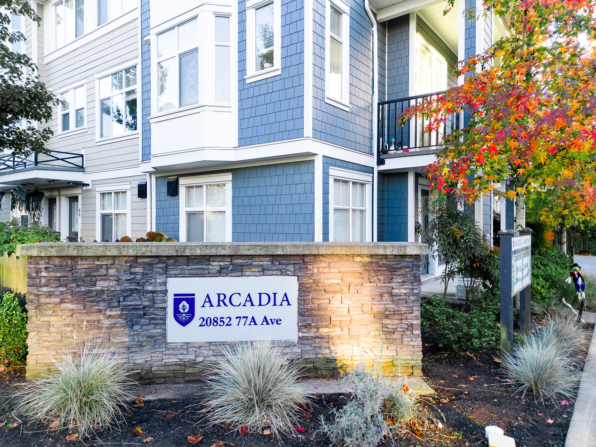 Arcadia